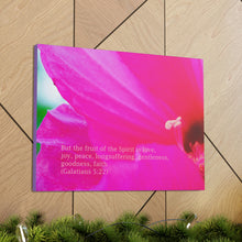 Load image into Gallery viewer, GIANT FUCHSIA HIBISCUS  CANVAS