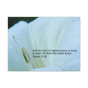 AMAZING MOON FLOWER CANVAS