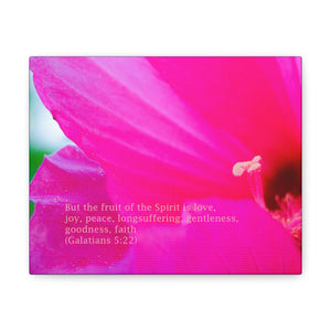 GIANT FUCHSIA HIBISCUS  CANVAS