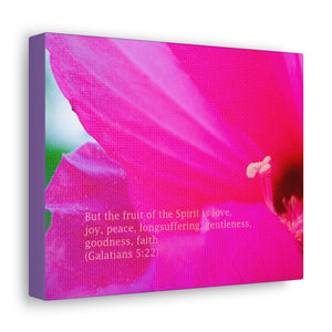 GIANT FUCHSIA HIBISCUS  CANVAS